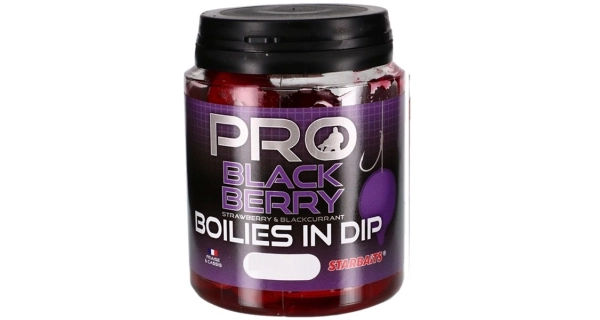 STARBAITS - Boilies v dipe Probiotic Blackberry 24 mm 150 g