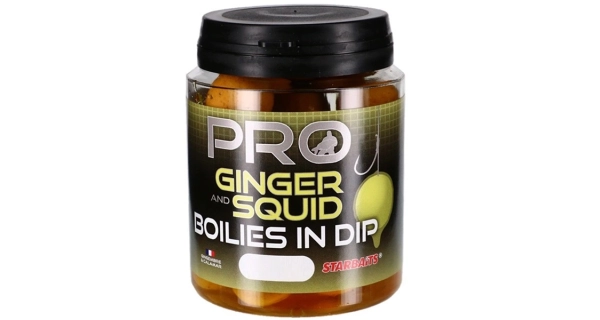 STARBAITS - Boilies v dipe Probiotic Ginger Squid 20 mm 150 g