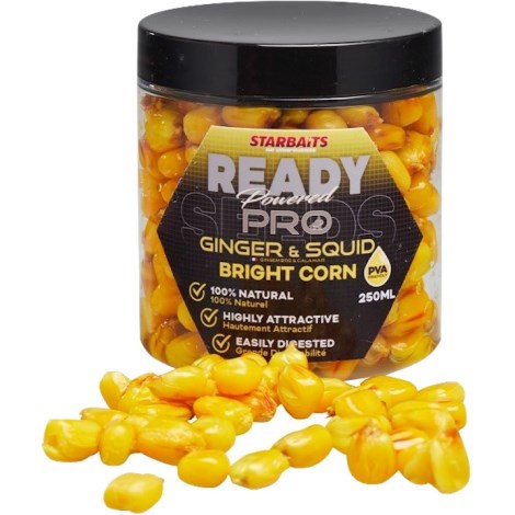 STARBAITS - Kukurica Bright Ready Seeds PRO Ginger Squid 250 ml