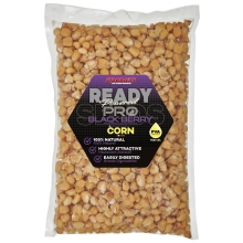 STARBAITS - Kukurica Ready Seeds Pro Blackberry 1 kg