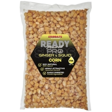 STARBAITS - Kukurica Ready Seeds Pro Ginger Squid 1 kg