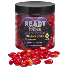 STARBAITS - Kukuřice Bright Ready Seeds PRO Blackberry 250 ml
