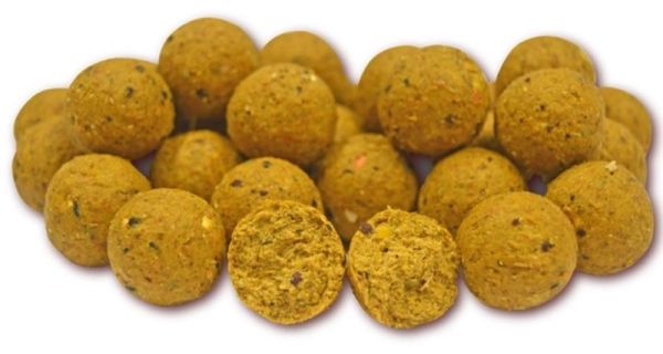 TB BAITS - Boilie 20 mm 10 kg Scopex & Squid