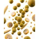 TB BAITS - Boilie 20 mm 2,5 kg Corn