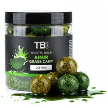 TB BAITS - Boosterované boilies Amur 24 mm 120 g
