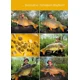 TB BAITS - Method Mix 2 kg Corn