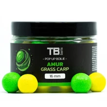 TB BAITS - Plávajúce boilies Pop-Up Amur 16 mm 50 g + NHDC