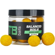 TB BAITS - Vyvážené Boilie Balanced + Atraktor Scopex Squid 100 g 20-24 mm