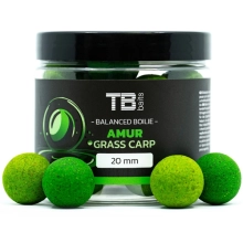 TB BAITS - Vyvážené boilies Balanced + Atraktor Amur 20 mm 100 g