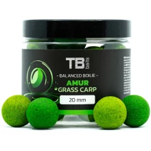 TB BAITS - Vyvážené boilies Balanced + Atraktor Amur 20 mm 100 g