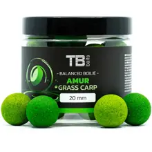 TB BAITS - Vyvážené boilies Balanced + Atraktor Amur 24 mm 100 g