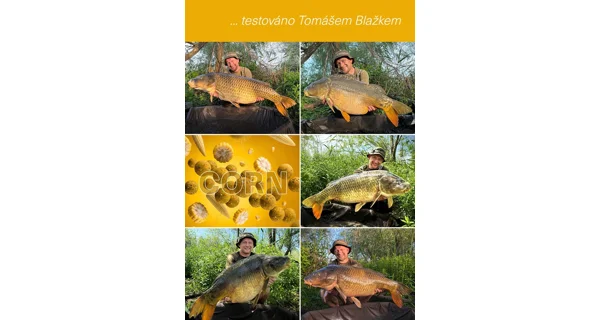 TB BAITS - Vyvážené boilies Balanced + Atraktor Corn 20 mm 100 g