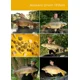 TB BAITS - Vyvážené boilies Balanced + Atraktor Corn 20 mm 100 g