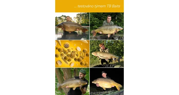 TB BAITS - Vyvážené boilies Balanced + Atraktor Corn 20 mm 100 g