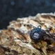 VAGNER - Záťaž Zombie Ball 70 g