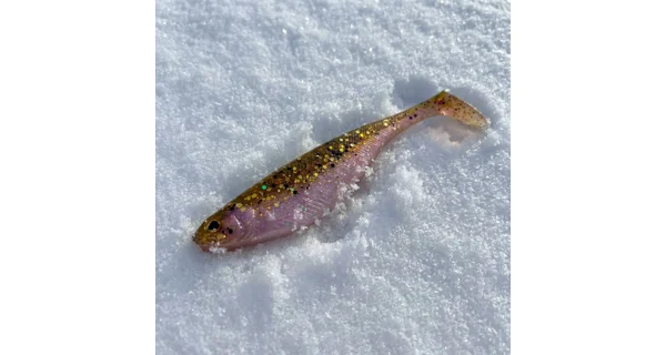 WESTIN - Adventný kalendár Predator Advent Calendar 2025