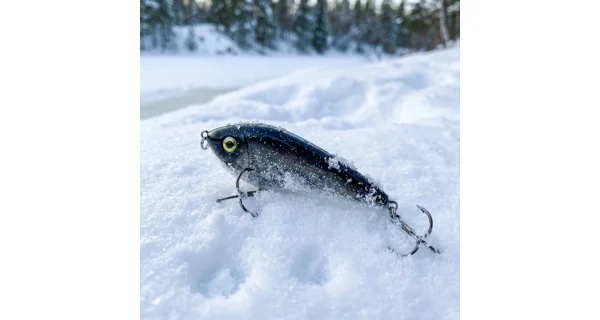 WESTIN - Adventný kalendár Premium Predator Advent Calendar 2025