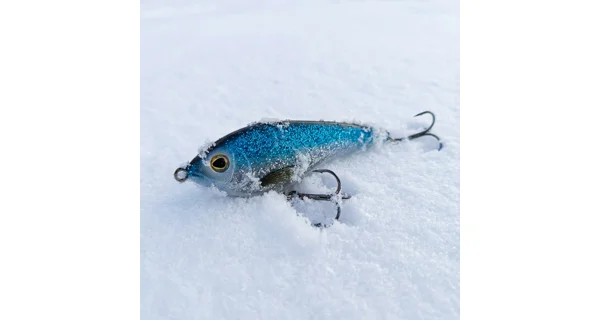 WESTIN - Adventný kalendár Premium Predator Advent Calendar 2025 + Navijak SPRO C-Tec Necton CR Reel Silver 4000