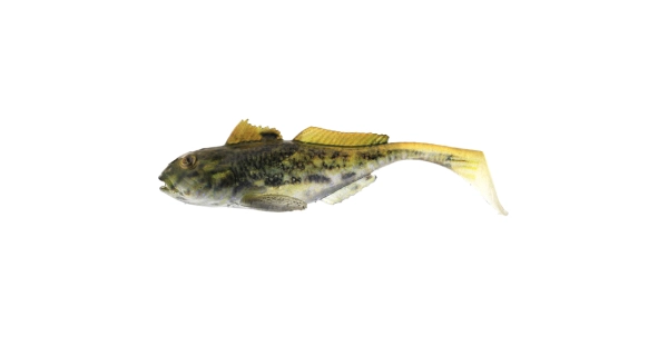 WESTIN - Gumová nástraha Gunnar Goby Black Mouth 10 cm 12,8 g 2 ks