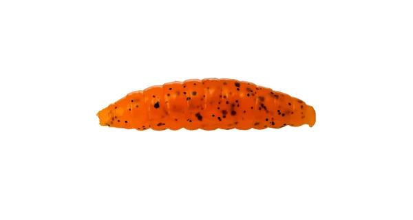 WESTIN - Gumová nástraha Maggot Floating 4,8 cm 2,2 g Garlic Cheese Orange 8 ks