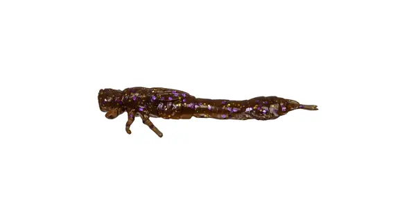 WESTIN - Gumová nástraha Odonata Ned Creaturebait 6,5 cm 2 g 4 ks Disco Nymph