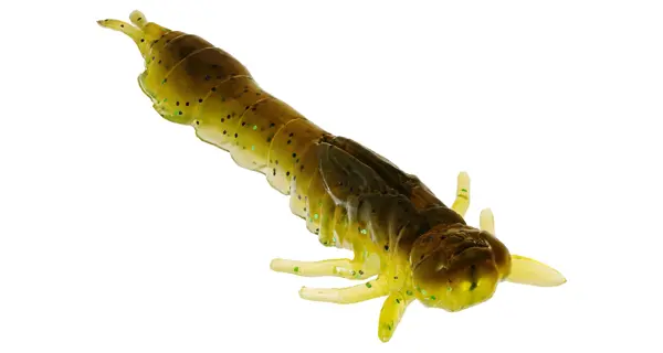 WESTIN - Gumová nástraha Odonata Ned Creaturebait 6,5 cm 2 g 4 ks Disco Nymph