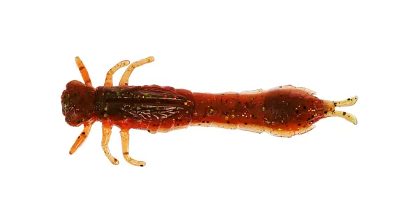 WESTIN - Gumová nástraha Odonata Ned Creaturebait 6,5 cm 2 g 4 ks Motoroil Moss