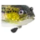 WESTIN - Gumová nástraha Tommy Trout Multi Jointed R2F Sinking 16 cm 54 g Real Rainbow Trout