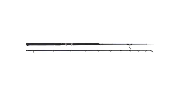 WESTIN - Prút W2 Rockshore Apex Predator ML 2,90 m 15-60 g 2 diely