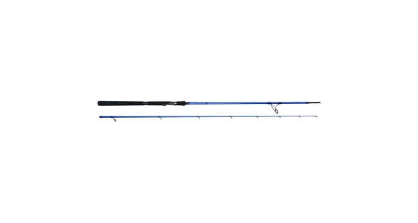 WESTIN - Prút W6 PowerStick 2,5 m MH 10 - 50 g