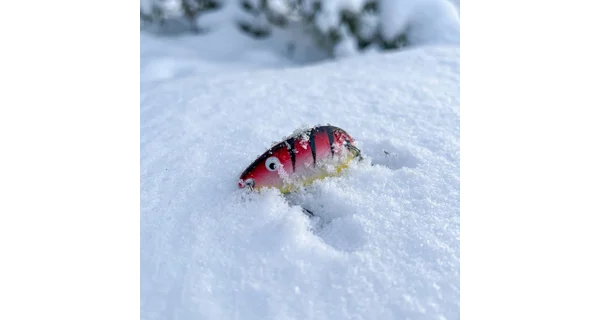 WESTIN - Pstruhový Adventný kalendár P&T Fidusen Advent Calendar 2025