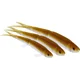 WESTIN - Smáčik Twinteez Palagic V-Tail 14 cm 15 g 2 ks Baitfish Ghost