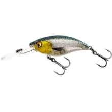 WESTIN - Wobler BuzzBite Crankbait Suspending 5 cm 6 g 3D Headlight