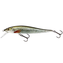 WESTIN - Wobler Jerkbite SR Jerkbait Suspending 9 cm 8 g Real Roach
