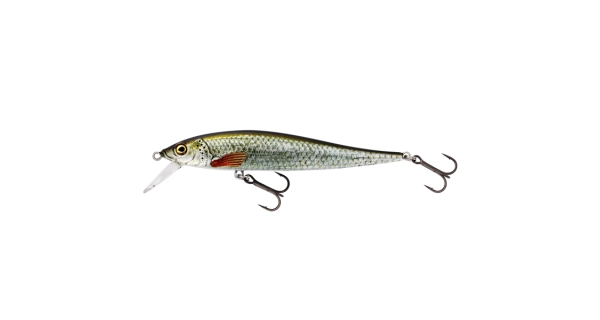 WESTIN - Wobler Jerkbite SR Jerkbait Suspending 9 cm 8 g Real Roach