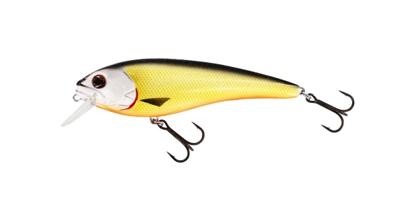 WESTIN - Wobler RawBite 11 cm 26 g Low Floating Official Roach