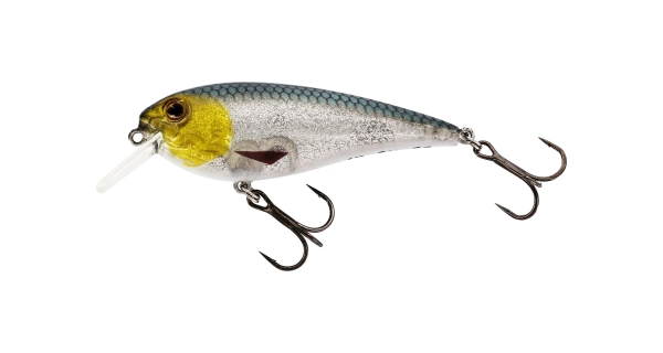 WESTIN - Wobler RawBite Crankbait 7 cm 12 g Floating 3D Headlight