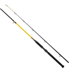 WFT - Prút Never Crack Catfish Boat LTC 3,2 m 250 -1000 g 2 diely