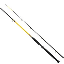 WFT - Prút Never Crack Catfish Boat LTC 3,2 m 250 -1000 g 2 diely