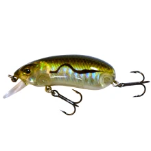 WIZARD - Wobler Bandit Rattle Crank Slow Sinking 5,5 cm 10 g SG