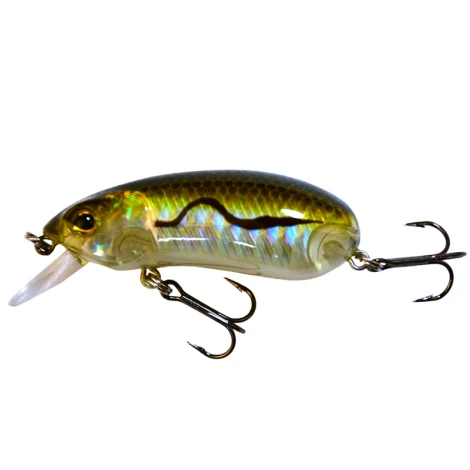 WIZARD - Wobler Bandit Rattle Crank Slow Sinking 5,5 cm 10 g SG