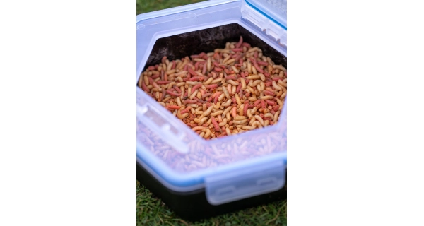 ZEBCO - Škatuľka na nástrahy Secure-Lock Bait Box 1,5 l