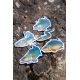ZEBCO - Vôňa do auta Target Fish Air Freshener Zander Candát