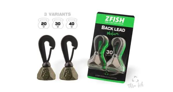 ZFISH - Back Lead 20 g 2 ks