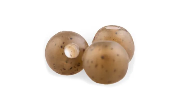 ZFISH - Gumové koráliky Rubber Beads Z-Camo 6 mm 20 ks