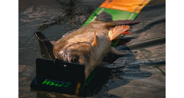 ZFISH - Meracia podložka Challenger
